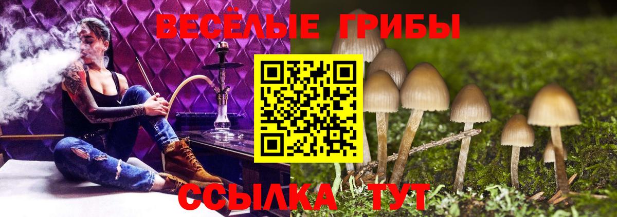 наркота  Вход с VPN  Пугачёв  Галлюциногенные грибы мицелий  Псилоцибиновые грибы прущие грибы 